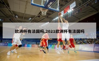 欧洲杯有法国吗,2021欧洲杯有法国吗