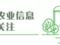 湖北公示2020年度336个美丽乡村建设试点村，有你家乡没