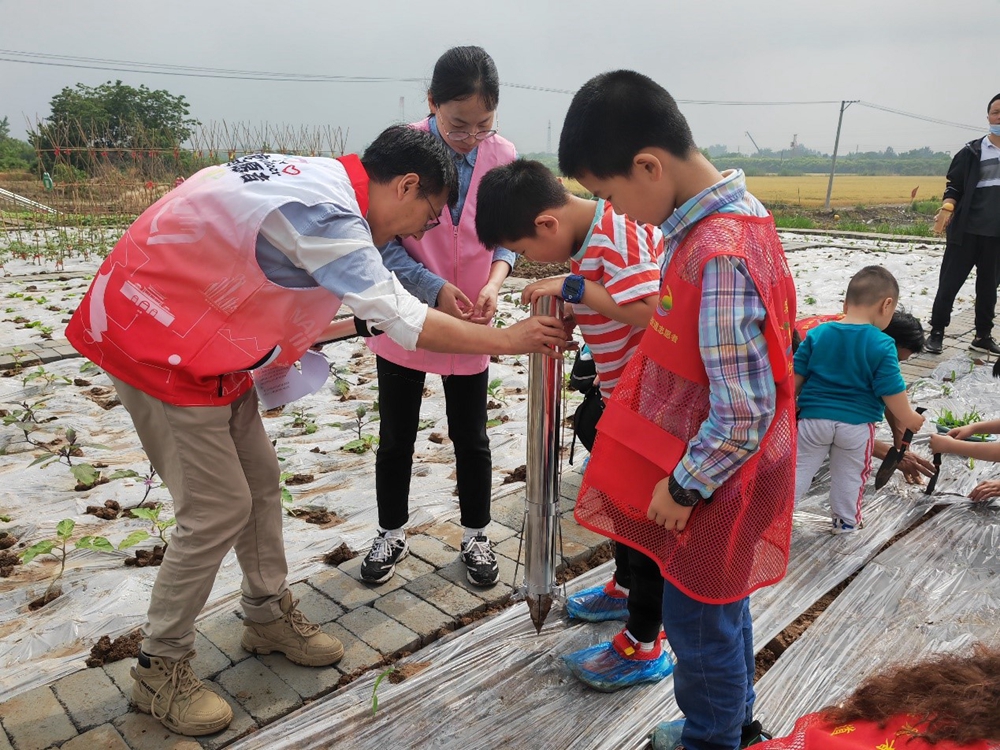 农村宅基地上房屋买卖-第3张图片-足球直播_足球免费在线高清直播_足球视频在线观看无插件-24直播网