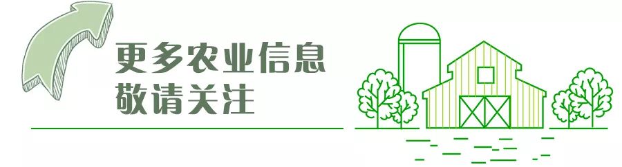 湖北公示2020年度336个美丽乡村建设试点村，有你家乡没-第1张图片-足球直播_足球免费在线高清直播_足球视频在线观看无插件-24直播网