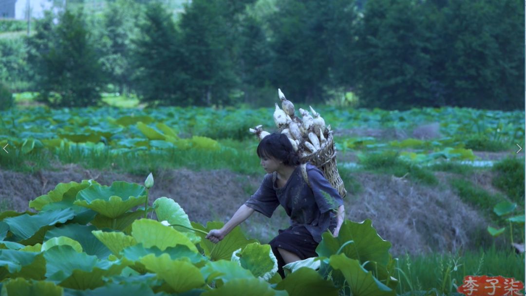 餐桌 ｜ 李子柒&Héloïse Brion：邂逅最美自然之味-第8张图片-足球直播_足球免费在线高清直播_足球视频在线观看无插件-24直播网