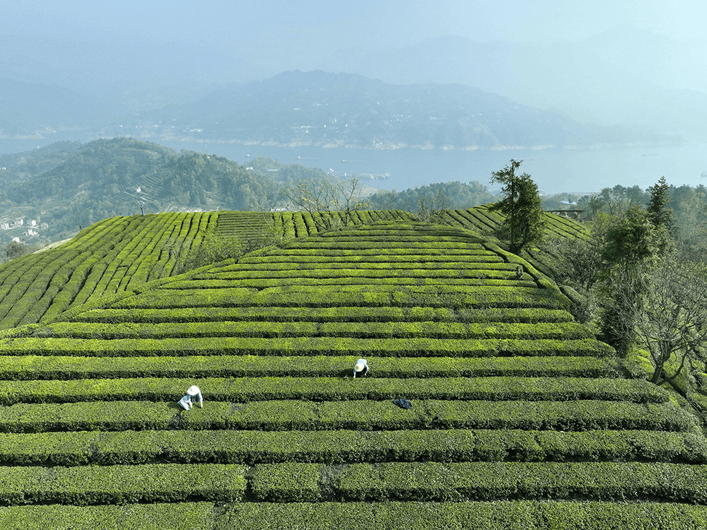 社区低保工作计划 社区低保工作计划(3篇)-第3张图片-足球直播_足球免费在线高清直播_足球视频在线观看无插件-24直播网