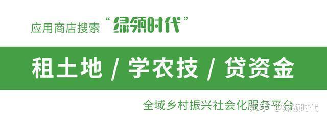 被征收的农村宅基地怎么补偿？还可以申请新的宅基地吗？-第1张图片-足球直播_足球免费在线高清直播_足球视频在线观看无插件-24直播网