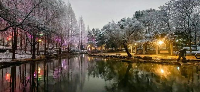 冬游丽水：江南雪景、美食美味……-第3张图片-足球直播_足球免费在线高清直播_足球视频在线观看无插件-24直播网