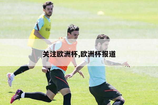 关注欧洲杯,欧洲杯报道-第1张图片-博鱼官方(中国)官方网站